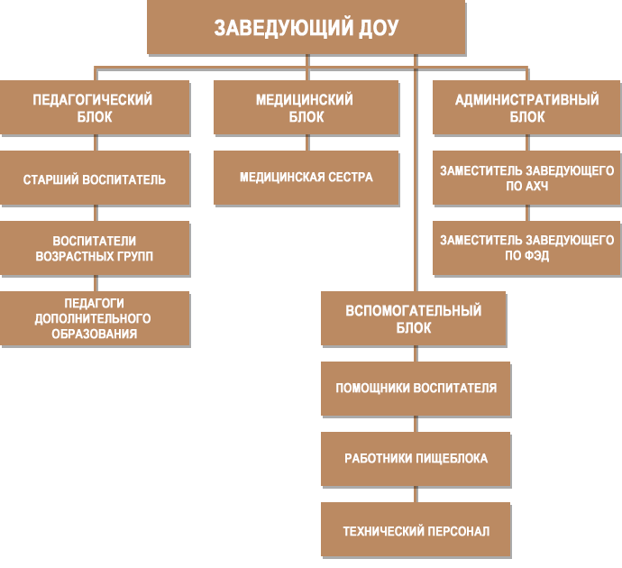 Структура МБДОУ 46